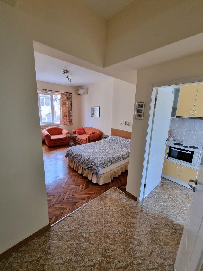 Asen 36 Apartment Sofia Bagian luar foto